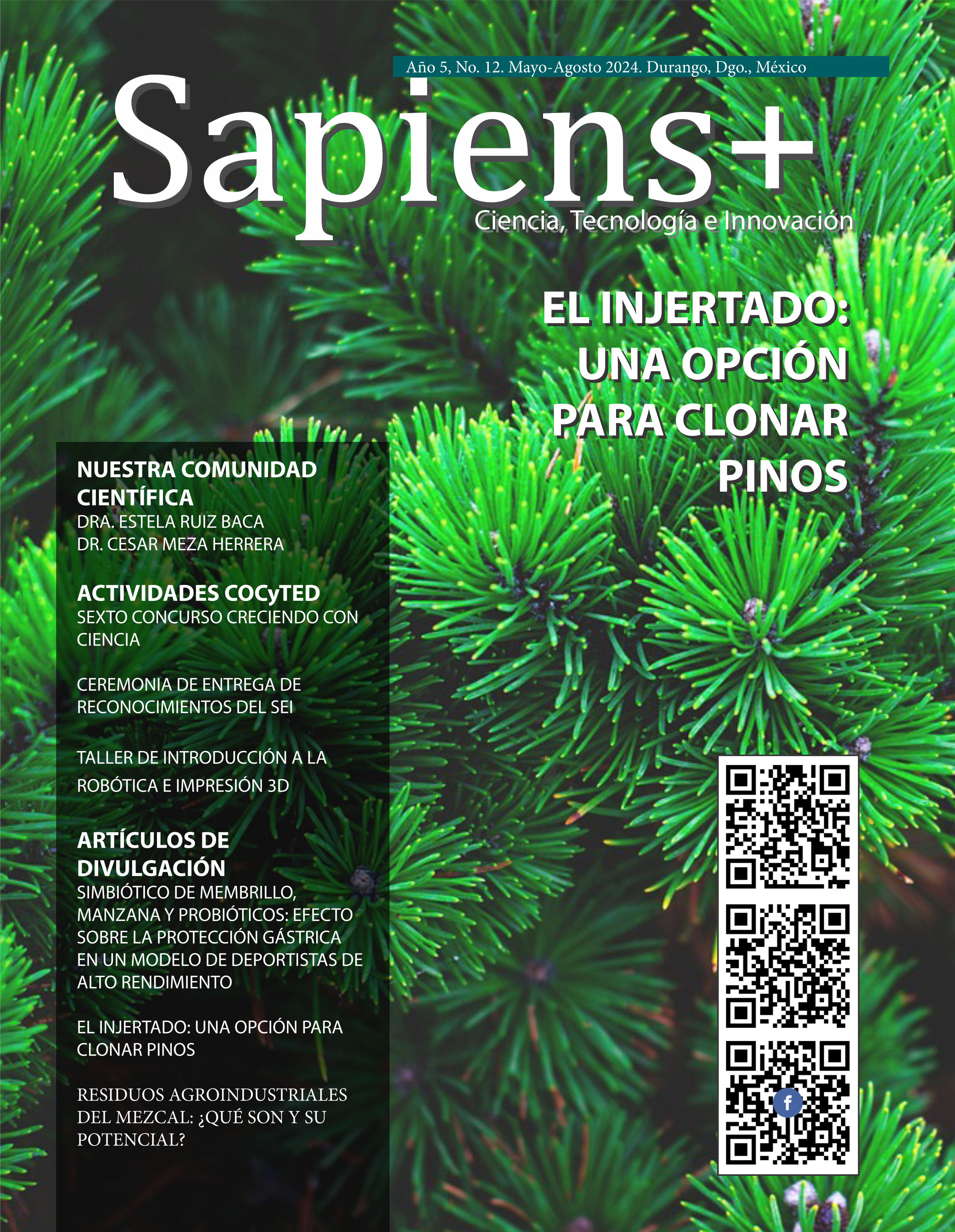 Año 5, No.12